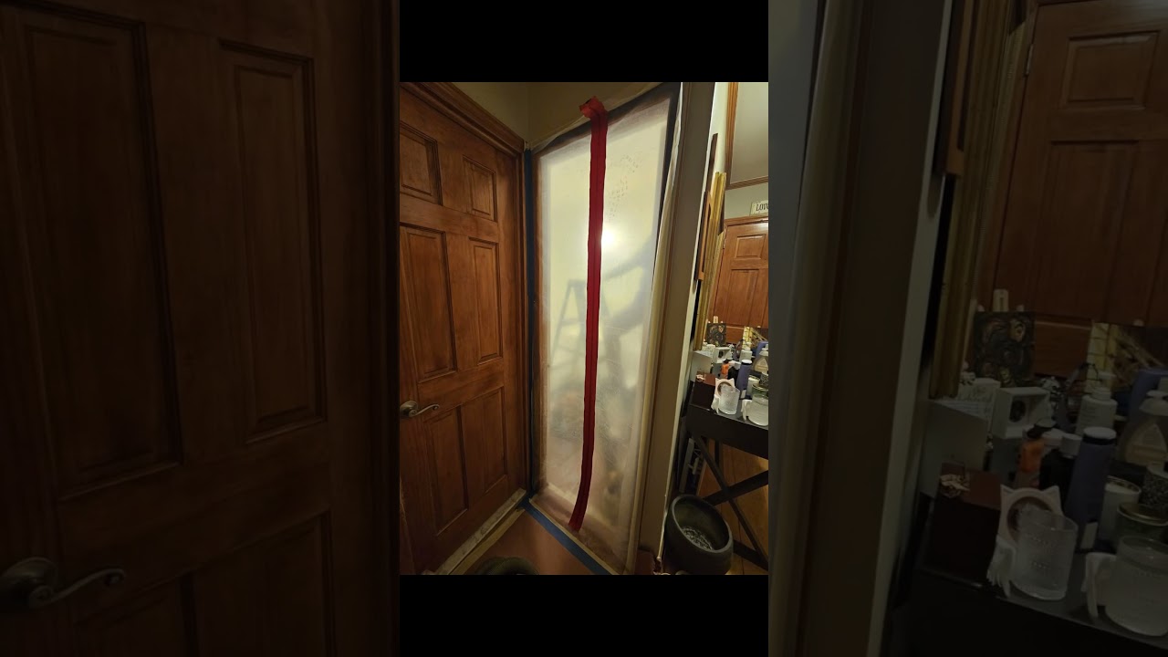 Mold Removal Manhattan | Nasty Bathroom Ceiling Mold Remediation: Transforming a Moldy Ceiling.