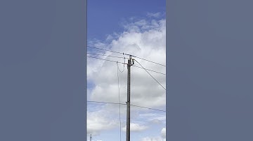 Tai nạn lúc sửa điện khiến 1 người tử vong, 1 người bị thương #shorts