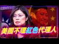 鄭麗文見不到官員還賴在美國不走