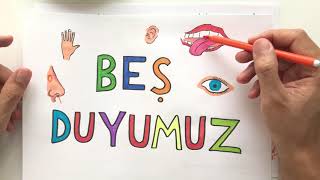 3. Sınıf Fen Bilgisi Duyu Organlarimiz Ve Görevleri̇