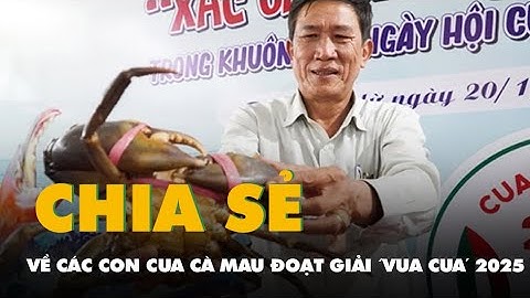 Người trong cuộc nói về các con cua Cà Mau khổng lồ đoạt giải ‘vua cua’ 2025