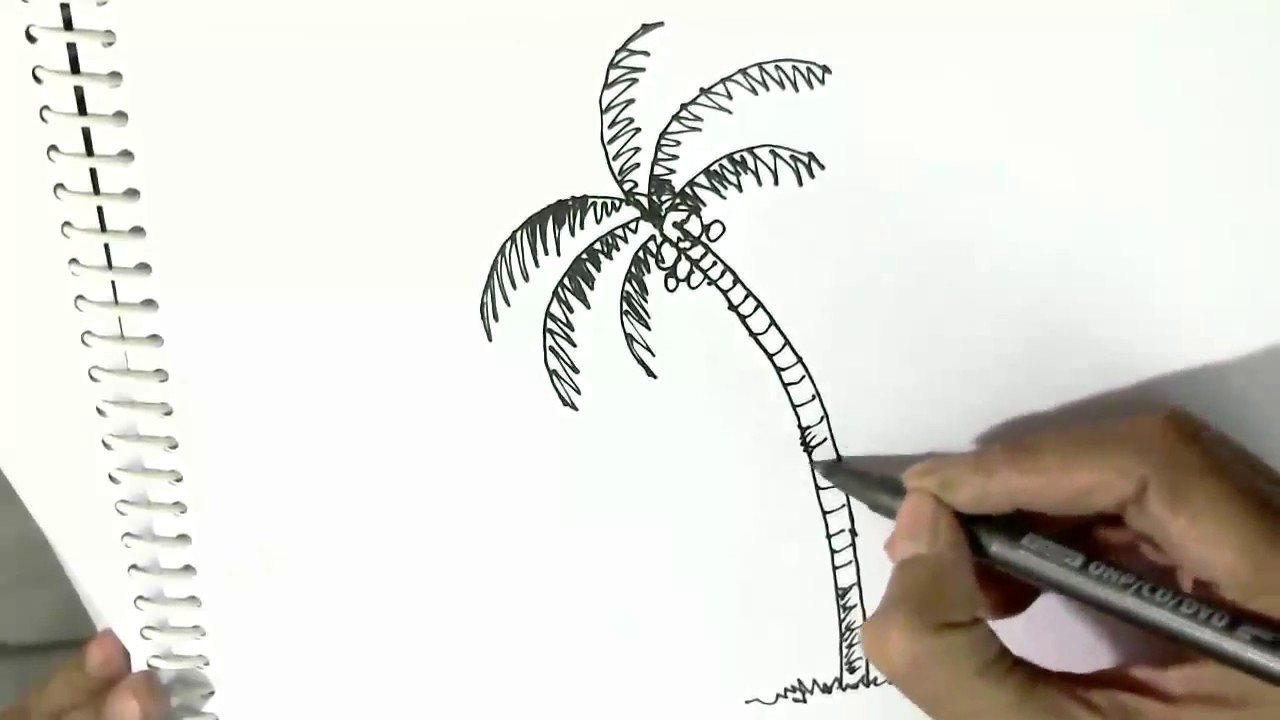 Featured image of post Coconut Tree Drawing Cartoon / Download this premium vector about coconut tree cartoon style, and discover more than 11 million professional graphic resources on freepik.