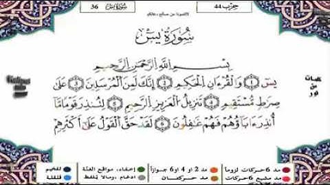 سورة يس برواية ورش القارئ ياسين الجزائري surah yasin warch yassine al jazairi