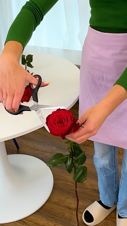 Florist's Secret: Keep Your Beautiful Roses Fresh 5x Longer! #RoseHack #FloristSecrets #FlowerCare