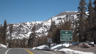 Up and Over Sonora Pass