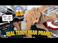 Hilarious Giant Teddy Bear Comes To Life Scare Prank On Boyfriend