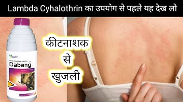Lambda Cyhalothrin से  इंफेक्शन | best Systematic insecticide | paddy Crop pesticide