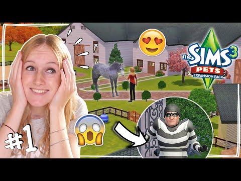 Video: Een Open Haard Kopen In De Sims 3