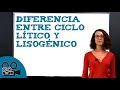 Diferencia entre ciclo lítico y lisogénico
