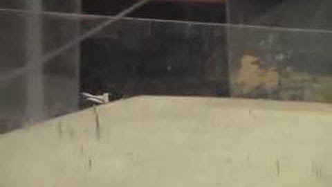 Trelanit 2 -06 Robosota 150 g: Hsaha vs Hnasu