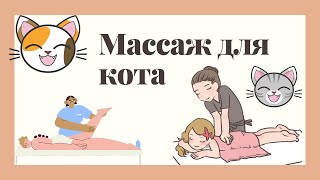 Массаж для кота 😹😻 massage for the cat #shorts #massage #happy