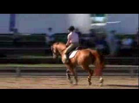 George Morris: Horsemastership Flatwork