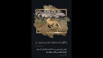 كأنهم حمر مستنفره فرت من قسورة #كرومات_قرآن #القرآن_الكريم #قصص_القرآن #اكسبلور #explore #quran