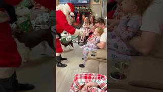 The childless Uncle dressed up as Santa… FAIL 🤣 #christmas #santa