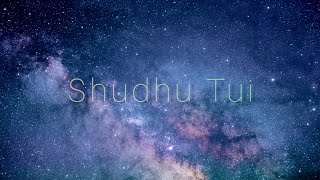 || Shudhu Tui || Rajbarman & Trissha Chatterjee || villian || soulsmusic || lyrical video ||