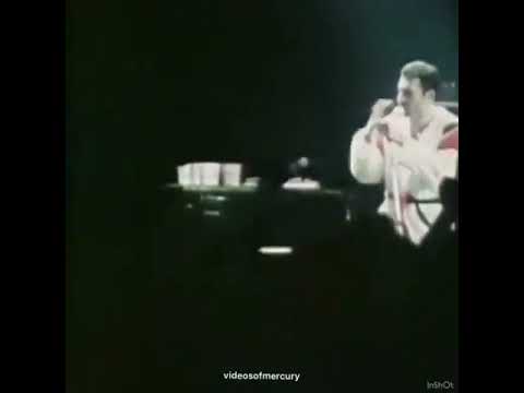Queen- Another one bites the dust live