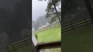 Lightning strikes a tree near Aiken, South Carolina, USA
