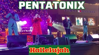 🔴Pentatonix - Hallelujah (Lyrics) - 1 Hour version 🔴LIVE @ Citadel Outlets, CA