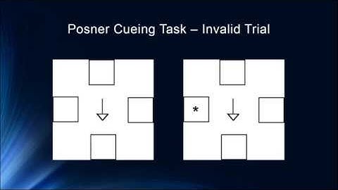 Cognition 3 7 Neuropsychology of Attention: Posner