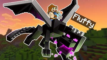 Master Ender Dragon Flight with Command Blocks (Full Tutorial)
