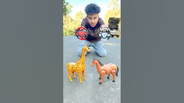 Remote Control Rc Zebra 🦓 1 Ta & Horse 🐎 1 Ta Unboxing