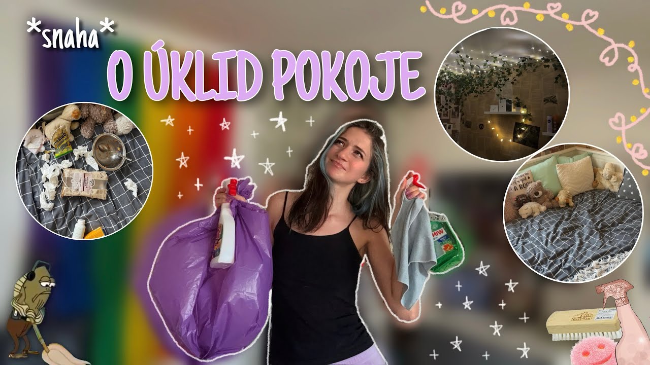 *snaha* O ÚKLID POKOJE | Leňuš