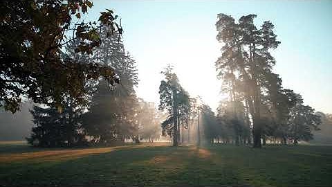 تلاوة هادئة تريح الاعصاب 💚 القارىء رعد محمد الكردى 💚