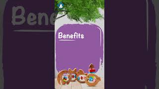 Baby Yank Neem Wood Toys