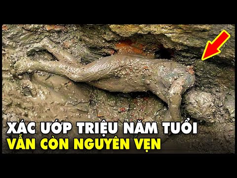 Video: 19 quan niệm sai lầm và lầm tưởng hài hước nhất về các quốc gia khác nhau