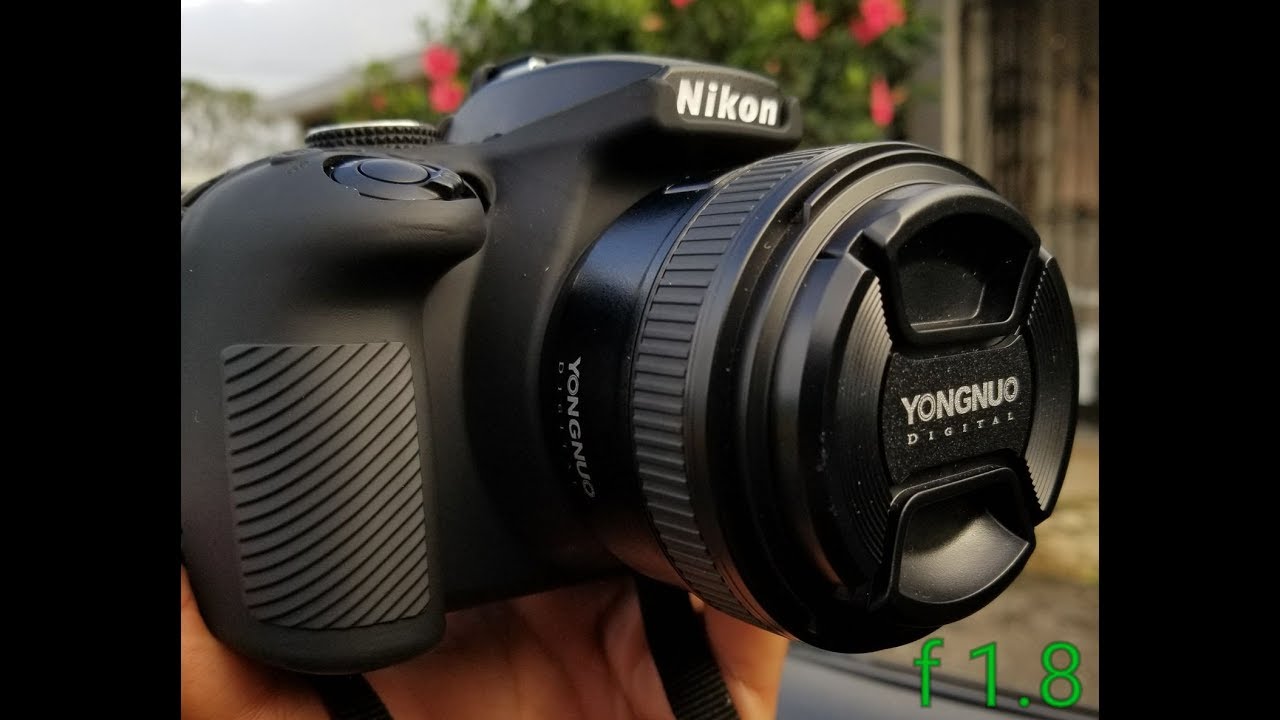 mini El diseño motor Yongnuo 50mm f1.8 para Nikon (con ejemplos de fotos y videos) - YouTube