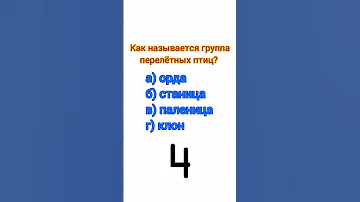 Как называется группа перелётных птиц