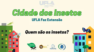 Que animais são insetos?
