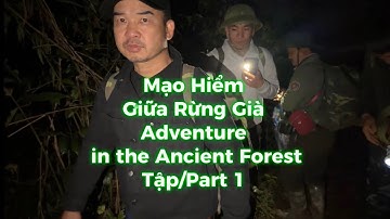 MẠO HIỂM GIỮA RỪNG GIÀ - Adventure in the Forest Tập/part 1 - KÝ SỰ Số 5 #doanvanbau 
