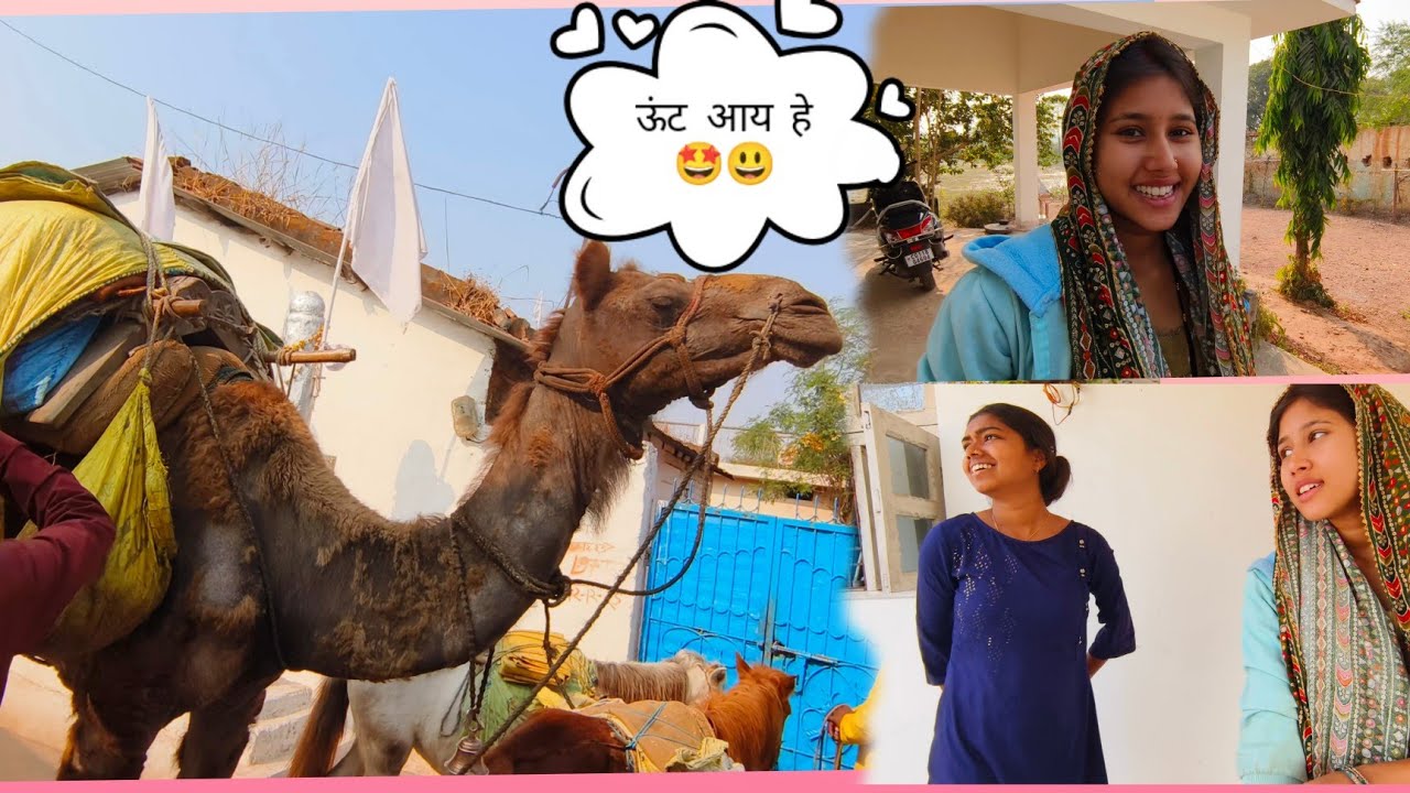 हमारे घर आया ऊंट 🤩😃😍