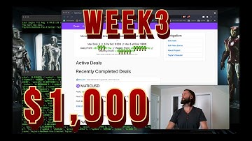 Building Crypto Trading Bots - Week 3 - Giving Bots $1000