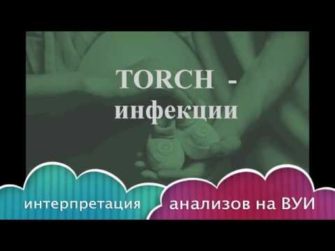 ПЛАНИРОВАНИЕ БЕРЕМЕННОСТИ. TORCH-инфекции. О ЧЁМ ГОВОРЯТ АНАЛИЗЫ на ВУИ ?
