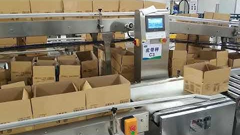 Checkweigher For Casea / Boxes