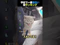 学校で一番面白い猫ランキング😹TOP6のサムネイル