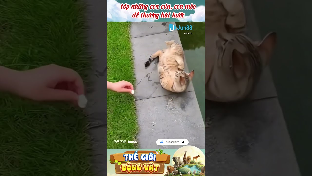 Khám Phá lịch truyền hình trực tiếp bóng đá ngày hôm nay - Nơi Gặp Gỡ Đam Mê Chơi Game Và Cơ Hội Thắng Lớn