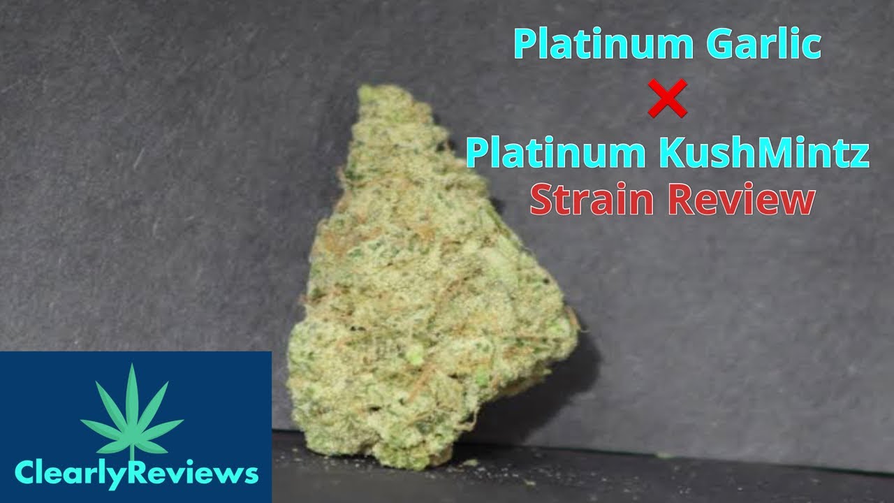 Platinum Garlic X Platinum KushMintz By 