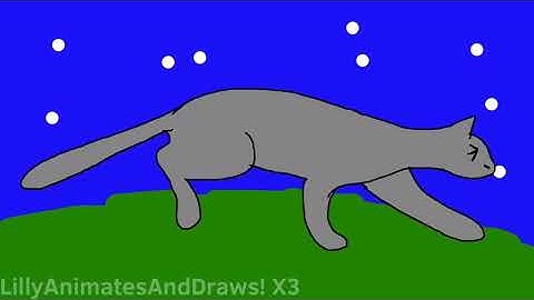 Cat run cycle (animation test ^•^)