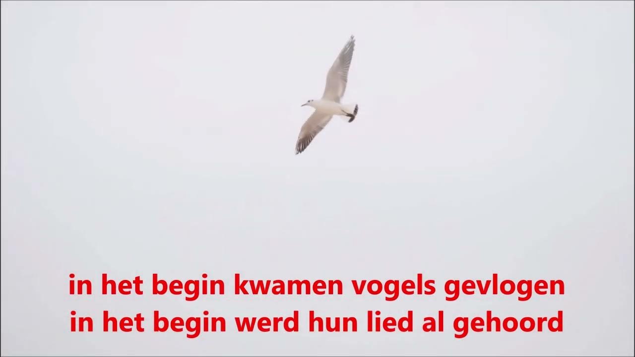 In het begin lag de aarde verloren YouTube In het begin lag de aarde verloren YouTube