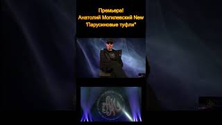 &#39;&#39;Парусиновые туфли &#39;&#39; #Shorts #shortsvideo #анатолий могилевский