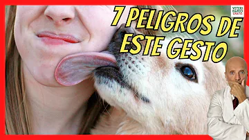 ¿Pueden transmitirse las lombrices a través de la saliva del perro?