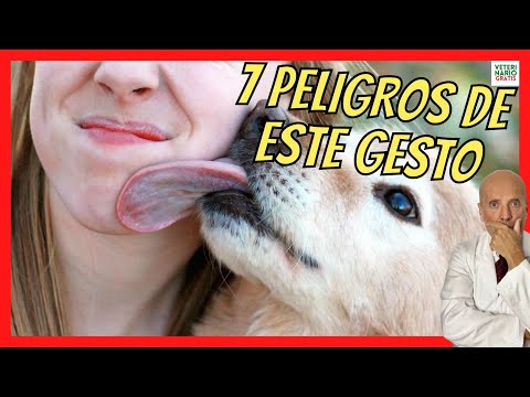 Video: ¿Pueden los perros dar a la gente insectos estomacales?