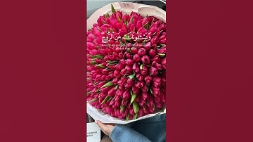 ويسألونك عن الروح قل الروح من أمر ربي #سورة الإسراء #جوهرة القرآن