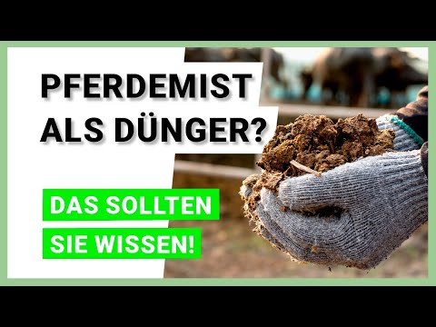 Video: Pferdemist kompostieren: Wie verwende ich Pferdemist als Dünger?