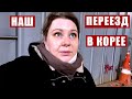 НАШ ПЕРЕЕЗД В КОРЕЕ. НАШИ КОТЫ. ПОКУПКИ В НОВЫЙ ДОМ. КОРЕЯ ВЛОГ