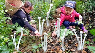 Cu Bon and his mother went to pick wild mushrooms to sell at the market