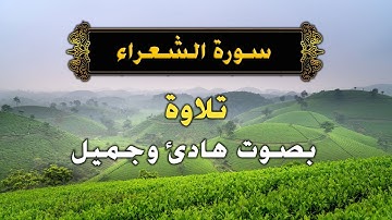 سورة الشعراء اسلام صبحي Surat AshShu'ara by Islam Sobhy